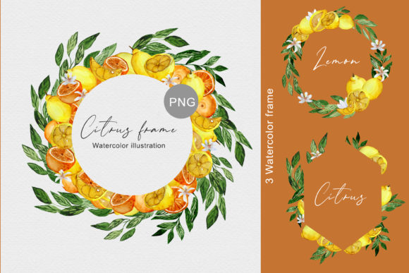 Brighten Designs with Watercolor Citrus Illustrations Set