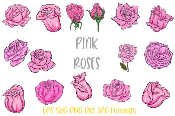 Elegant Pink Rose Line Art for Every Creative Project