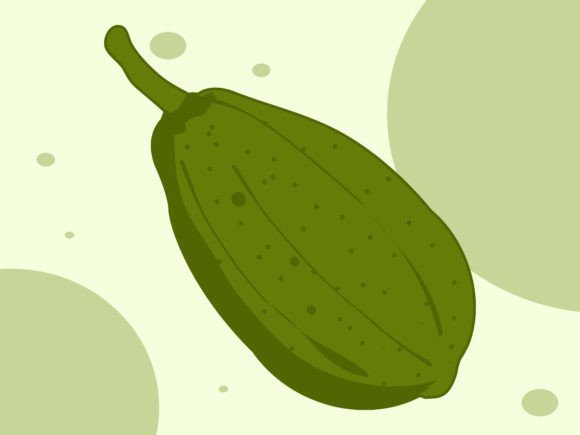 Green Papaya Vector Illustrations for Summer Designs